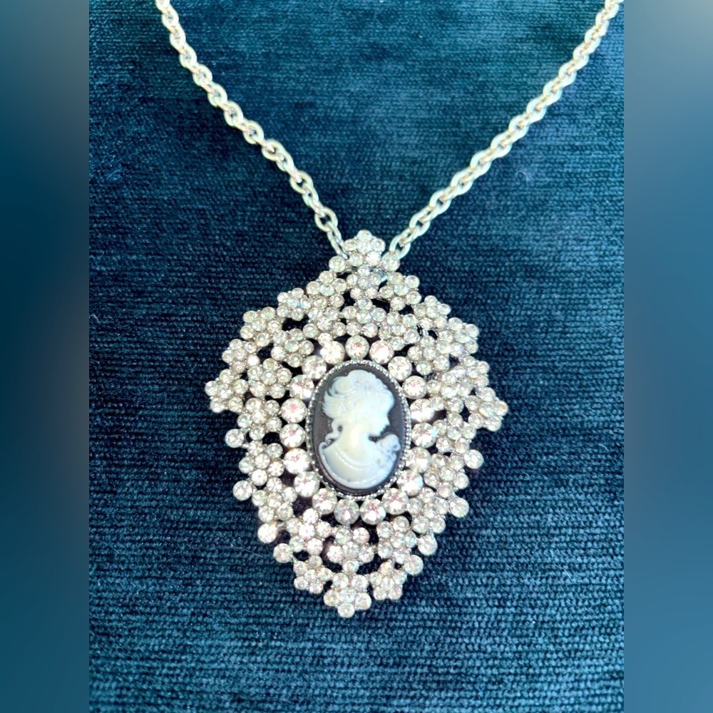 Elegant Silver Cameo Pendant Broach Necklace on Silver Chain